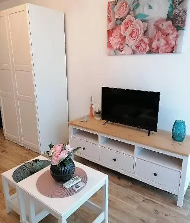 Rose * شيوفوك